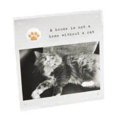 Acrylic Cat Paw Print Kitty Picture Frame By Mud Pie