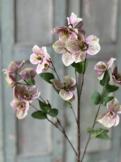 Lenten Boughs Spray, Flare, 39" (Pick Up Only)