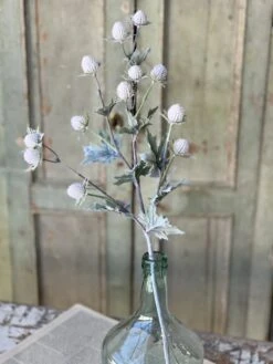 Thistle Field Flowers Stem, Cloud White, 28"