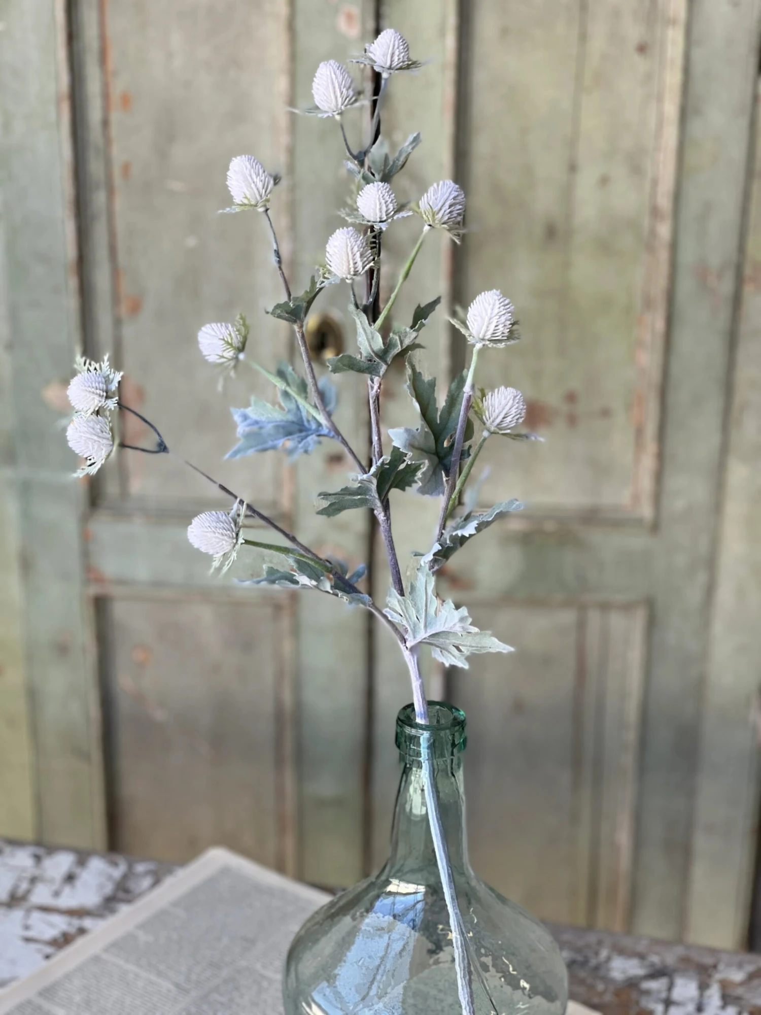 Thistle Field Flowers Stem, Cloud White, 28" 1 Thistle Field Flowers Stem, Cloud White, 28"