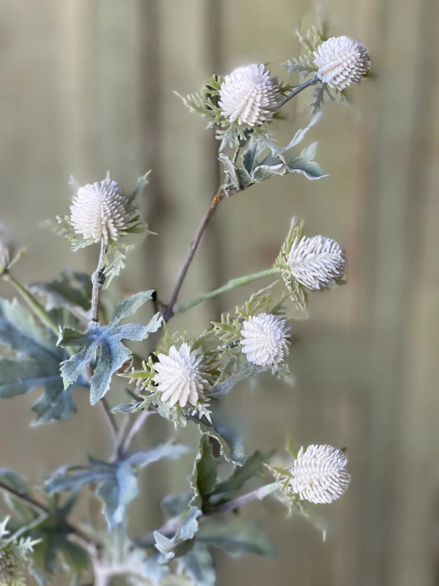 Thistle Field Flowers Stem, Cloud White, 28" 3 Thistle Field Flowers Stem, Cloud White, 28" - Image 3
