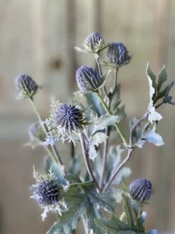 Thistle Field Flowers Stem, Sky Blue, 28" -Home Decor Sale Store BY19933