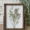 Meadow Glade Gatherings # 3 Framed Pressed Florals