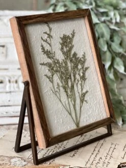 Meadow Glade Gatherings # 3 Framed Pressed Florals 5 Meadow Glade Gatherings # 3 Framed Pressed Florals -Home Decor Sale Store EW40523