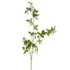 Green Quince Branch, 42" (Pick Up Only)