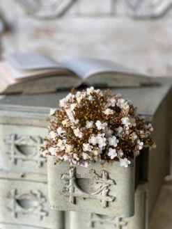 Emmeline Half Sphere, Fawn, 8" -Home Decor Sale Store FG4020 4 1024x1024 80e8d52a 5a59 4dd5 89db 2c97bcfe071e