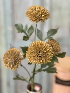 Picadilly Spray, Oat, 25"