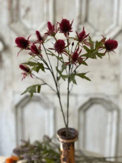 Gomphrena Spray, Sangria, 27"