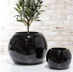 Gloss Black Planter Pot, 2 Size Options (Pick Up Only)