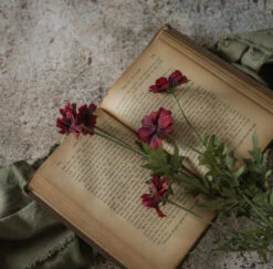 Coreopsis Spray, Burgundy, 29.75"