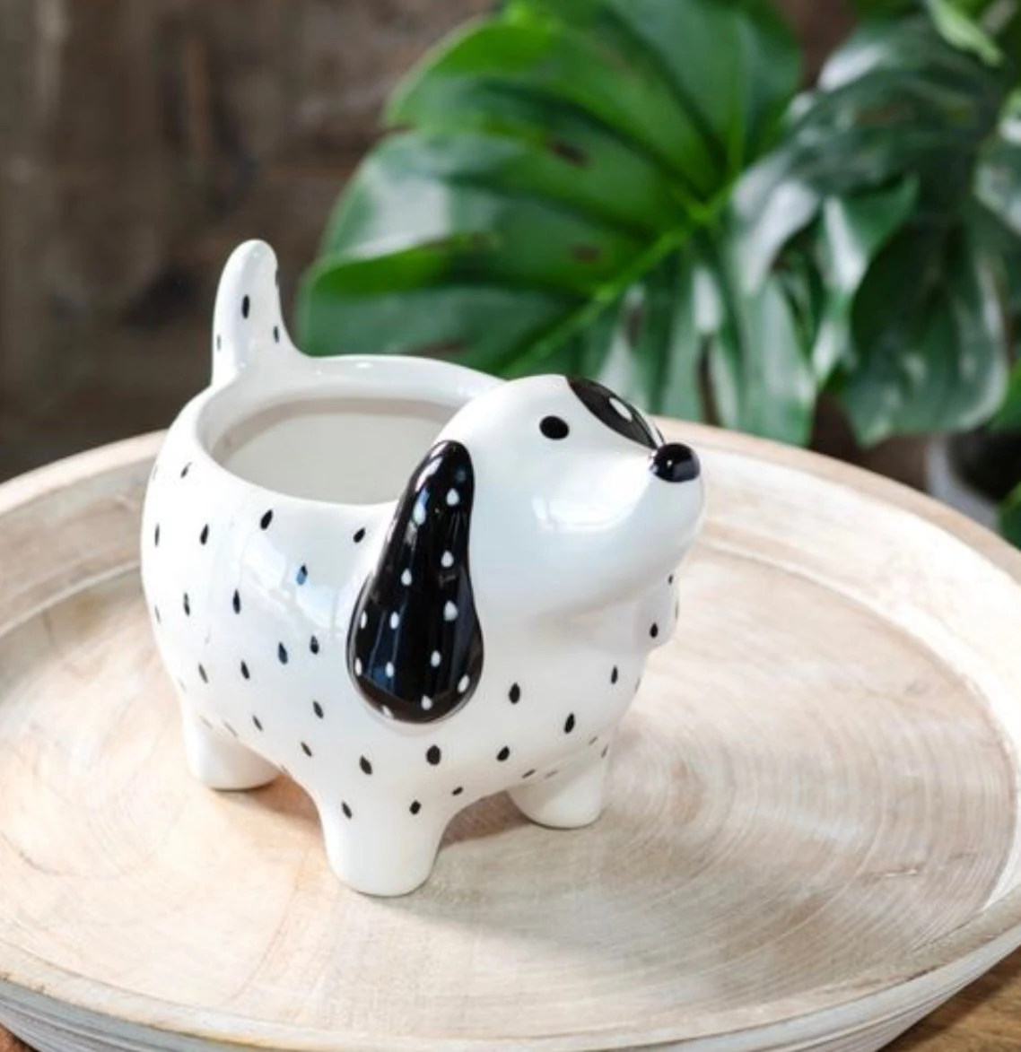 Spotted Dog Planter 1 Spotted Dog Planter