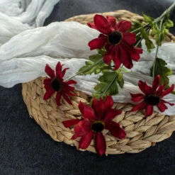 Black Eyed Susan Stem, Red, 25"