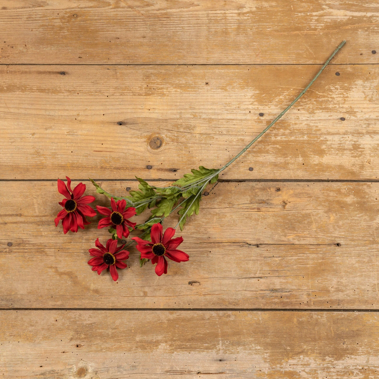 Black Eyed Susan Stem, Red, 25" 2 Black Eyed Susan Stem, Red, 25" - Image 2