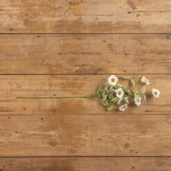 Camellia Spray, Cream, 30"