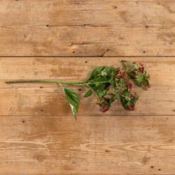 Berry Spray, Burgundy, 21.75"