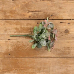 Greenery Bush With Pink Buds, 12"