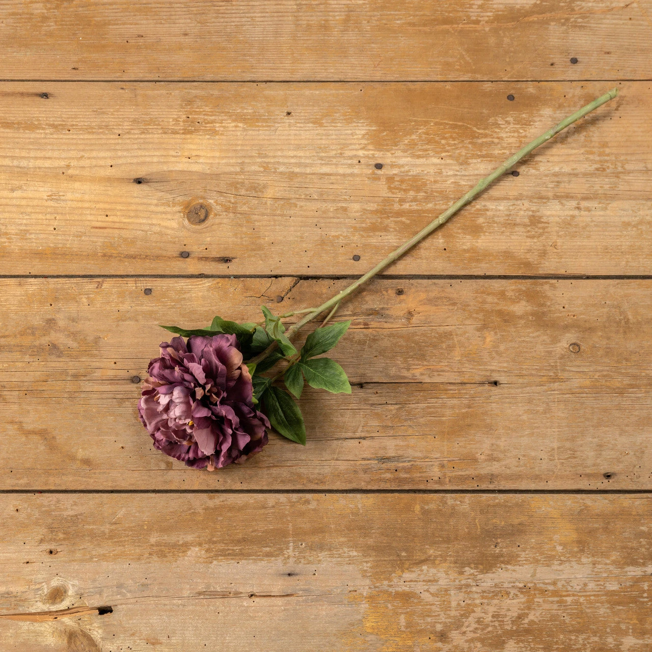 Peony Stem, Purple, 24.25" 1 Peony Stem, Purple, 24.25"