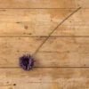 Daisy Stem, Purple, 25"