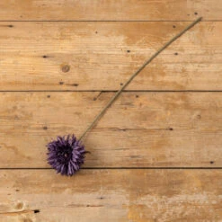 Daisy Stem, Purple, 25"