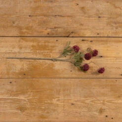 Onion Spray, Dark Red, 20.75"