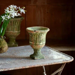 Aged Garden Urn, Small By Porch View Home