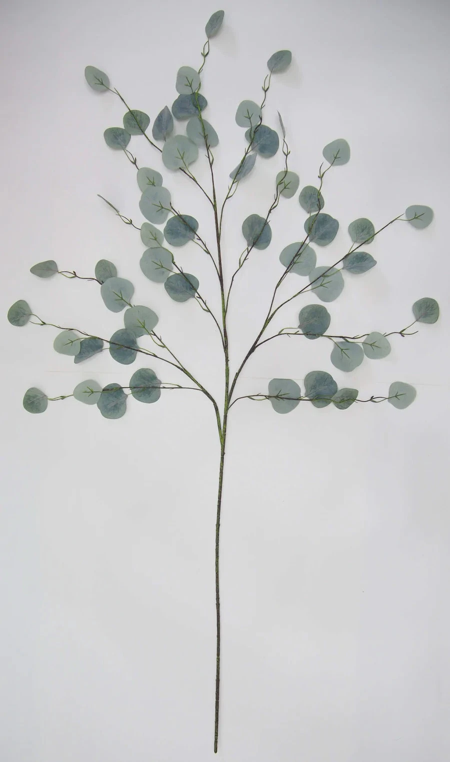 Eucalyptus Stem, Fresh Cut Look, 48" By Porch View Home (Pick Up Only) 1 Eucalyptus Stem, Fresh Cut Look, 48" By Porch View Home (Pick Up Only)