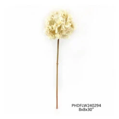 Dried Touch Hydrangea Stem, Cream, 30" By Porch View Home