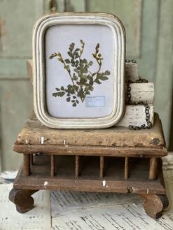 Wakefield Pressed Botanical Framed, 2 Style Options -Home Decor Sale Store QC79108 5a70964a b78a 439a b3a7 04fc443b4c5a
