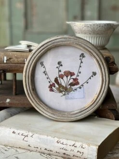 Wakefield Pressed Botanical Framed, 2 Style Options -Home Decor Sale Store QC791102 fe8d624c 4bb1 4280 ad9c cd51610dd61f
