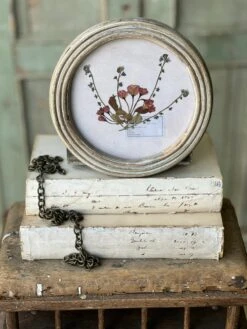 Wakefield Pressed Botanical Framed, 2 Style Options -Home Decor Sale Store QC79110 9a445663 ea70 4950 a461 70c74ed02005