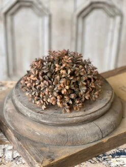 Byway Leaves Half Sphere, 8" 7 Byway Leaves Half Sphere, 8" -Home Decor Sale Store RA60952 7fa74707 b493 4118 b3d5 6b2a3ef48289