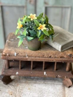 Bashful Blooms Pot, Yellow, 6" -Home Decor Sale Store RA90303