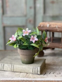 Bashful Blooms Pot, Bliss Pink, 6" -Home Decor Sale Store RA90432