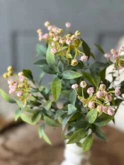 Lullaby Buds Bush, Pink, 14"