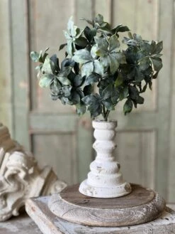 Suffolk Leaves Bush, 13"