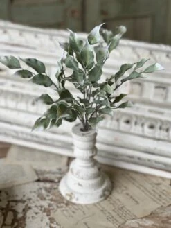 Gallivanting Greens Bush, 13.5"