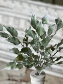 Gallivanting Greens Bush, 13.5" -Home Decor Sale Store TE52422 b46c599d 3d6b 4e81 a4f1 a36dd55361ab