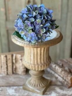 Cameo Hydrangea, Watercolor, 22"