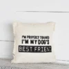 "I'm My Dog's Best Friend" Pillow