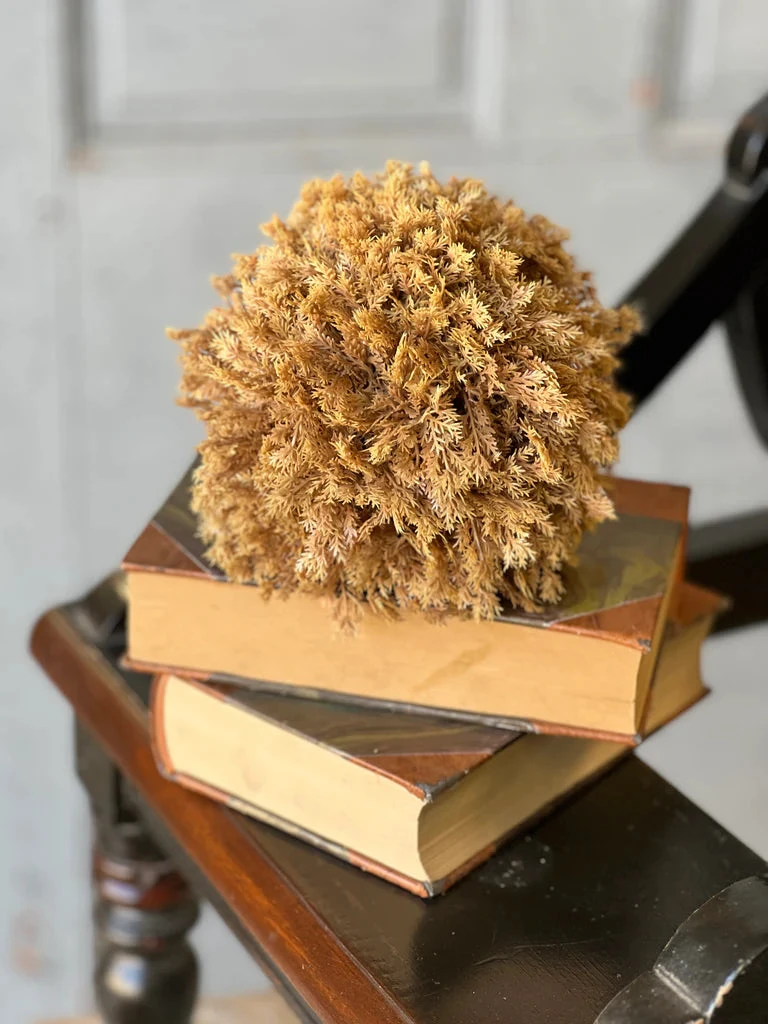 Sungold Half Sphere, 6" 2 Sungold Half Sphere, 6" - Image 2