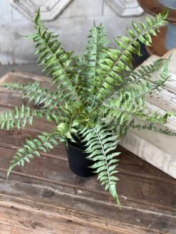 Geneva Potted Fern, Shade, 19" -Home Decor Sale Store VP7033 d9b4abfb ef88 4903 9af2 d5a1db79ef39