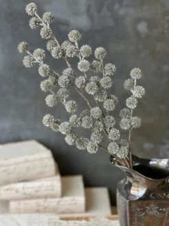 Solstice Spray, Platinum, 29" (Pick Up Only)