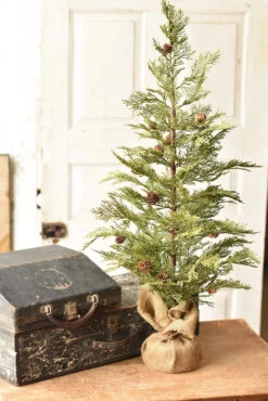 36" North Rim Hemlock Tree