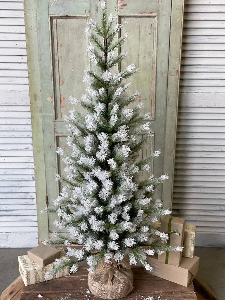 4' Frost Fade Pine Tree (Pick Up Only) 1 4' Frost Fade Pine Tree (Pick Up Only)
