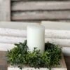 New England Boxwood Candle Ring, 10"