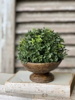 New England Boxwood Half Sphere, 8.5"