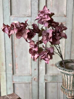 Bougainvillea Spray, Vivid, 42"