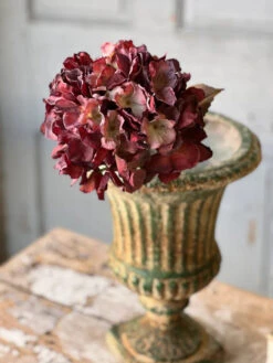 Empire Hydrangea, Rush, 25"