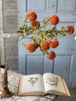 Autumn Aster Spray, Orange, 35" (Pick Up Only)