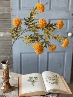 Autumn Aster Spray, Yellow, 35" (Pick Up Only)